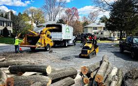 Best Seasonal Cleanup (Spring/Fall)  in Riva, MD