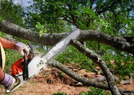 Best Lawn Grading and Leveling  in Riva, MD